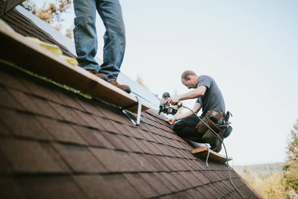 Quick and Trustworthy Emergency Roof Repair Services in Spartanburg, SC